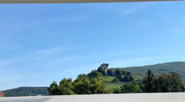 Wildegg