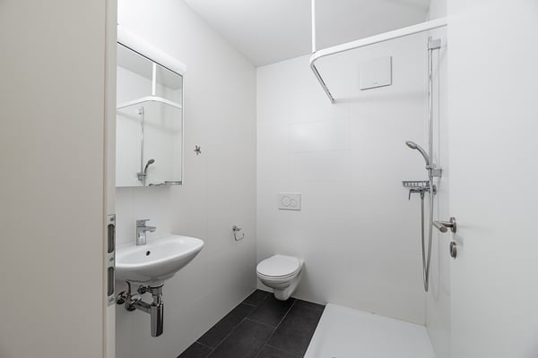 Zona ideale 6