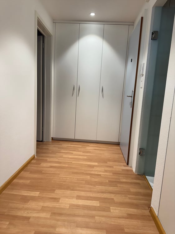 Schöne Dachterassenwohnung in Riehen 5