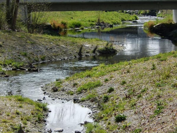 MIETEN OHNE KAUTION - Grosszügig und modern wohnen! 6