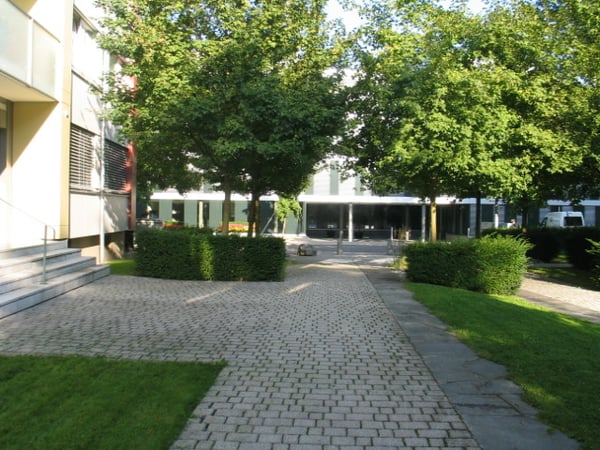Wunderschöne 5.0 Zimmer-Wohnung im Gellert!! 1