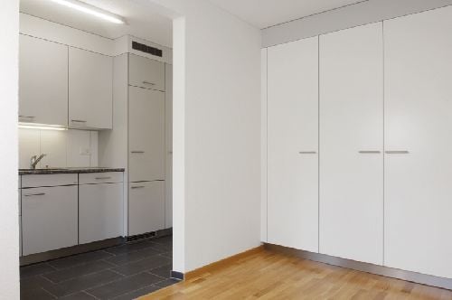 Wohnen im Grünen nahe Greifensee 3