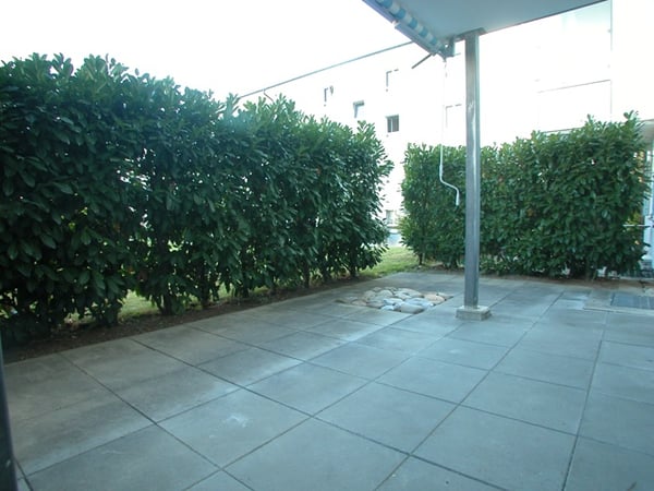 Die Sonne auf dem Gartensitzplatz geniessen! 5