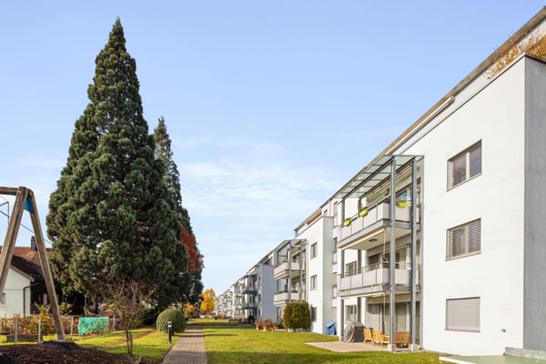 Sicht auf die Alpen und wenige Minuten zum Zürichsee 1