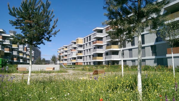 Schöne 3.5 Zimmer-Wohnung zu vermieten 1