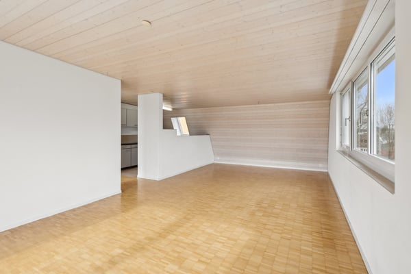 Traumhafte Attikawohnung mit grosser Terrasse (54 m2) 3