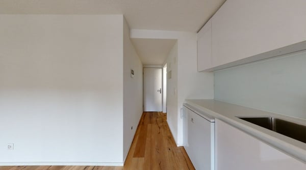 Exklusive und moderne Wohnung an der Reussinsel 8