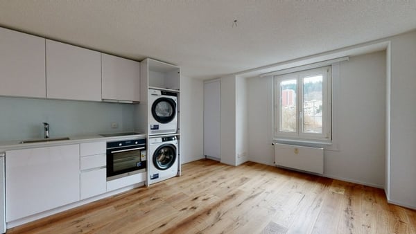 Exklusive und moderne Wohnung an der Reussinsel 3