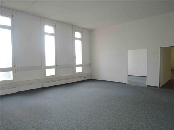 Attraktive Gewerbe- oder Bürofläche im schönen Rheintal 3