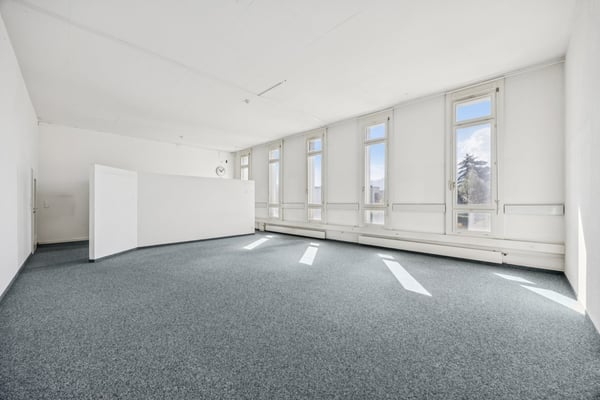 Attraktive Gewerbe- oder Bürofläche im schönen Rheintal 11