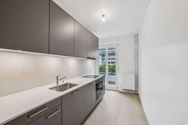 Nouvelle Rénovation- Exceptionnel - Quartier Florissant 2