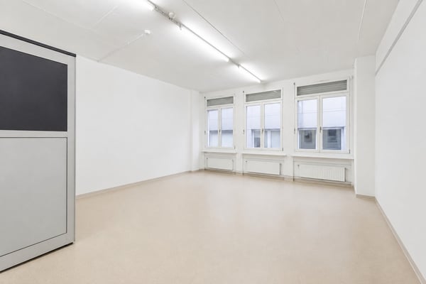 RAUM FÜR IHRE IDEEN - vielseitig nutzbare Gewerbefläche in Zürich Altstetten 2