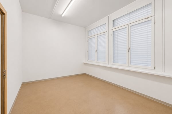 RAUM FÜR IHRE IDEEN - vielseitig nutzbare Gewerbefläche in Zürich Altstetten 5