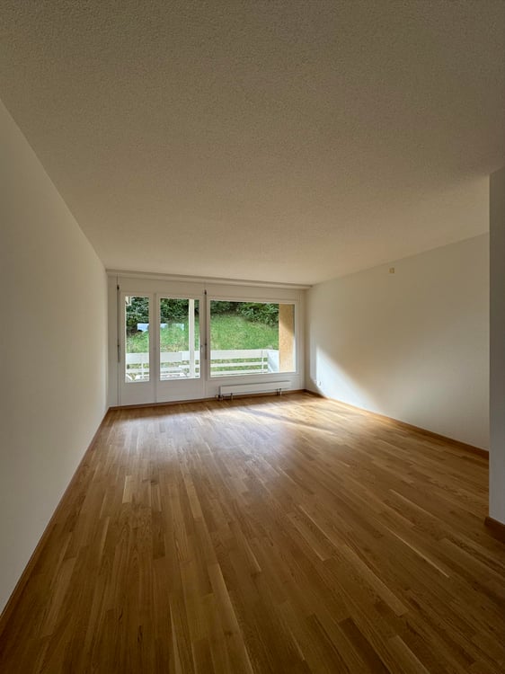 Logement lumineux avec grand balcon ! 3