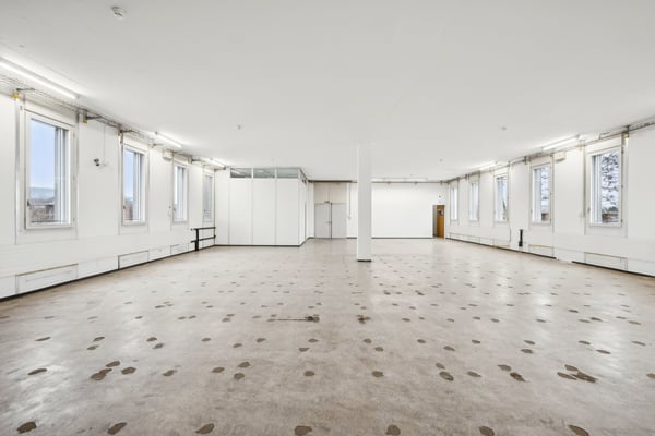 Viel Raum für Ihre Ideen: 305 m² Gewerbefläche in Arlesheim 8