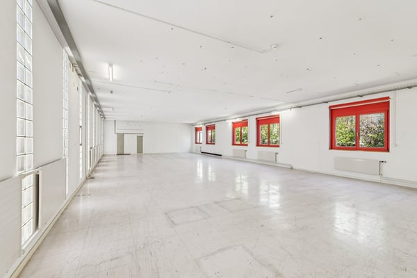 266 m² für Ihre Ideen, Ihr Team und Ihr Wachstum in Laufen 2