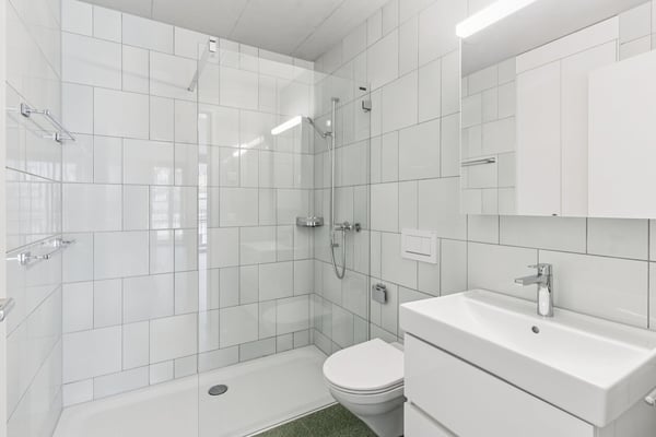 Wohnen mit Reussicht 6