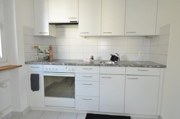 Schöne und charmante Wohnung sucht neuen Mieter! 4
