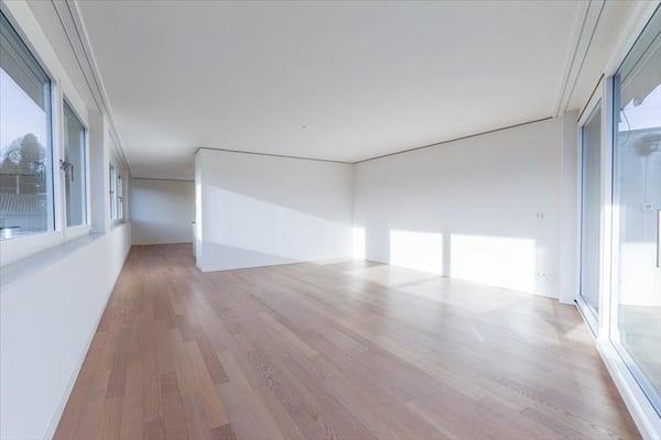 Modern wohnen mit Säntisblick in Uzwil 2