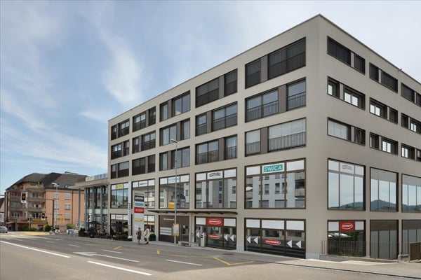 Modern wohnen mit Säntisblick in Uzwil 1