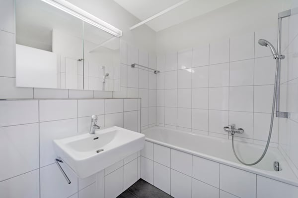 A louer 3½ pièces rénové au 3ème étage 4