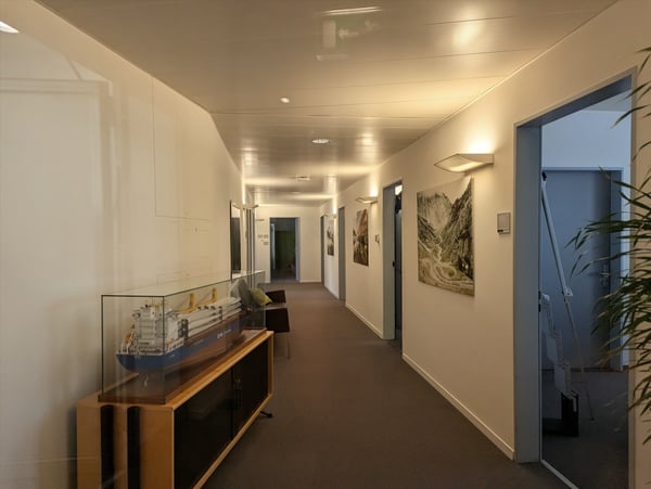 Im Zentrum der Stadt Zürich 5