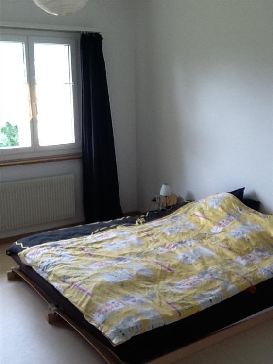 Singlewohnung sucht Mieter/in... 4