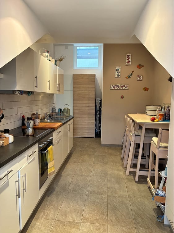 Appartement mansardé 4 pièces  Plainpalais 3