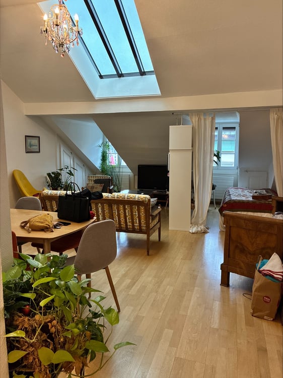 Appartement mansardé 4 pièces  Plainpalais 2