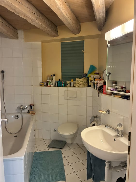 Appartement mansardé 4 pièces  Plainpalais 4