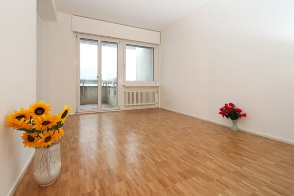Appartamento di 2 locali a Lugano 2