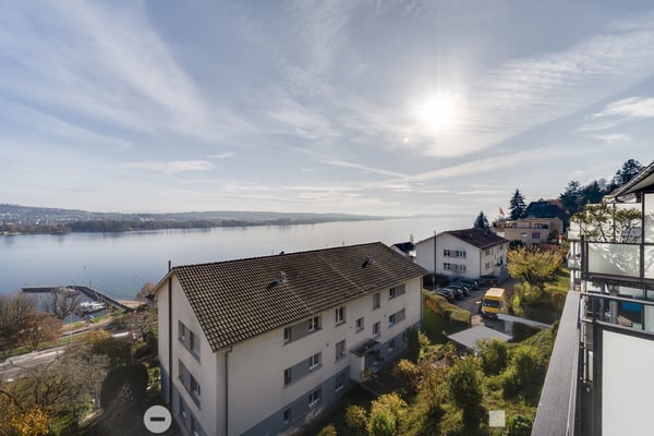 Aussicht auf die Alpen & auf den Bielersee 1