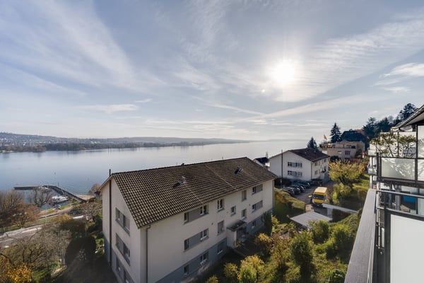 Aussicht auf die Alpen & auf den Bielersee 1