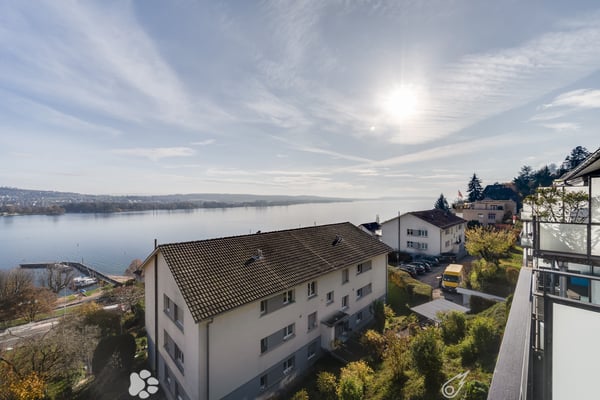 Aussicht auf die Alpen & auf den Bielersee 1