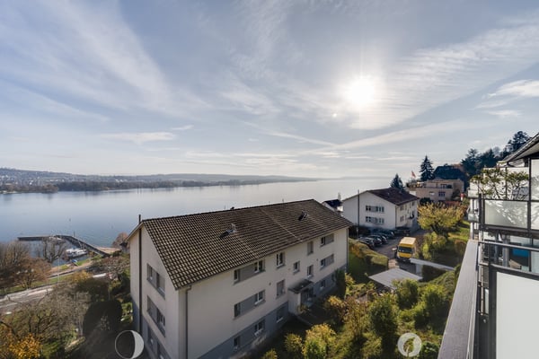 Aussicht auf die Alpen & auf den Bielersee 1