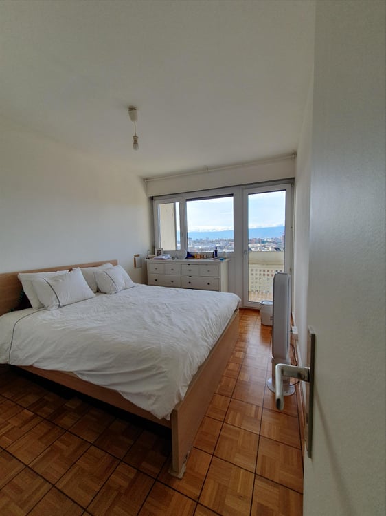 Champel : 2 pièces traversant avec terrasse rooftop 6