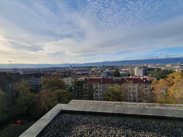 Champel : 2 pièces traversant avec terrasse rooftop 11