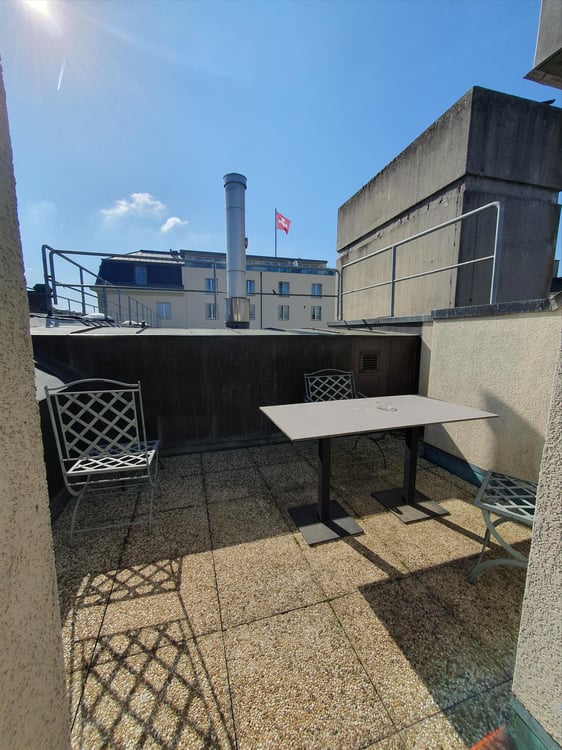 Duplex avec terrasse - Rue du Docteur-Alfred-Vincent, 1201 Genève 8
