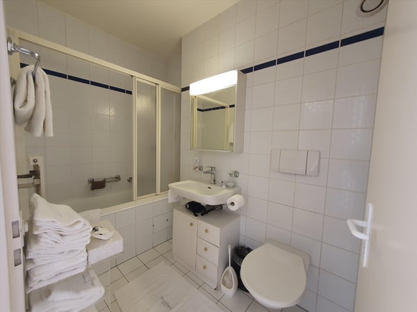 Duplex avec terrasse - Rue du Docteur-Alfred-Vincent, 1201 Genève 4