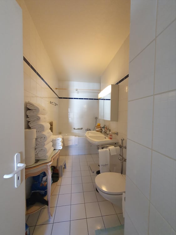 Duplex avec terrasse - Rue du Docteur-Alfred-Vincent, 1201 Genève 10