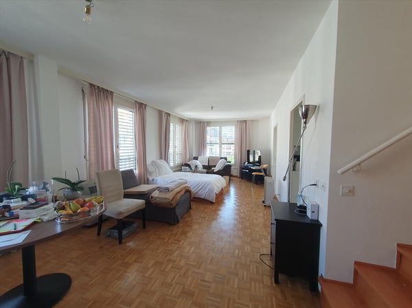 Duplex avec terrasse - Rue du Docteur-Alfred-Vincent, 1201 Genève 2