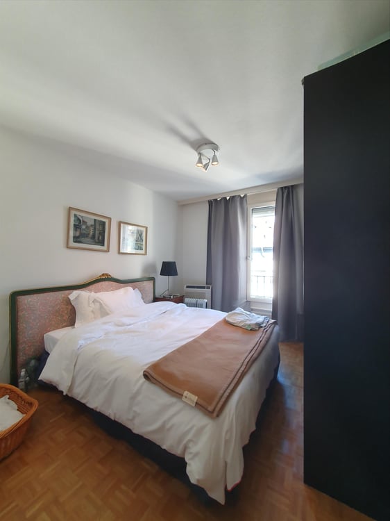 Duplex avec terrasse - Rue du Docteur-Alfred-Vincent, 1201 Genève 9