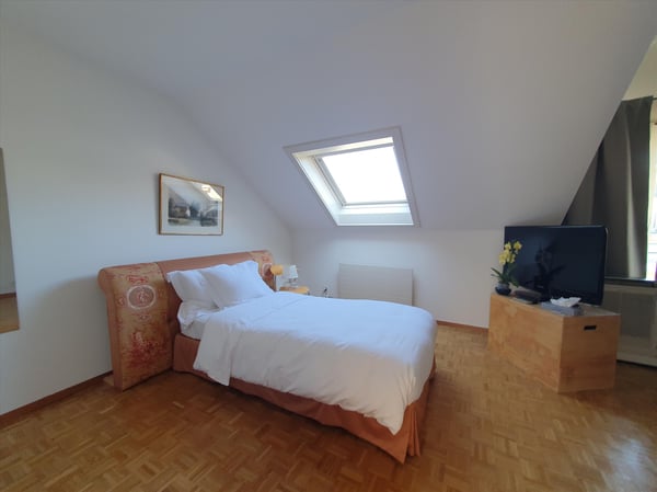 Duplex avec terrasse - Rue du Docteur-Alfred-Vincent, 1201 Genève 7
