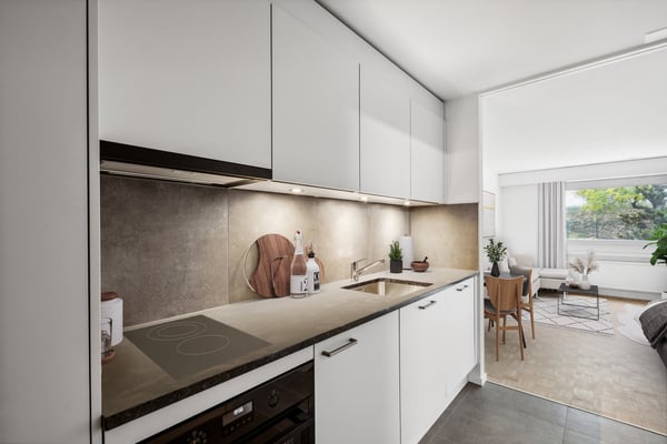 Magnifique appartement 1 pièce rénové CAUTION GRATUITE 1
