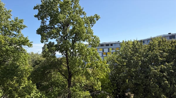Appartement de 4 pièces proche du quartier des Nations. 10