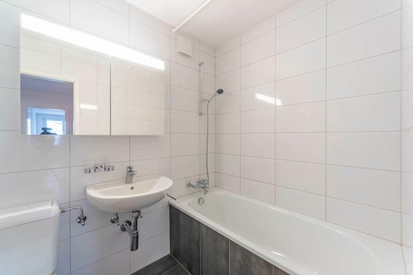 Singlewohnung direkt am Zürichsee! 2