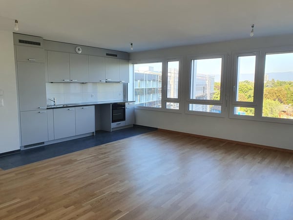 Superbe appartement neuf, 8e et dernier étage 3