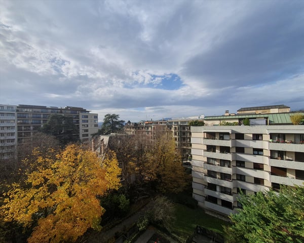 Champel : Superbe appartement avec 3 chambres 12