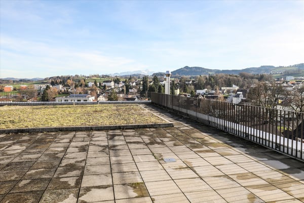 Modern wohnen mit Säntisblick in Uzwil 12