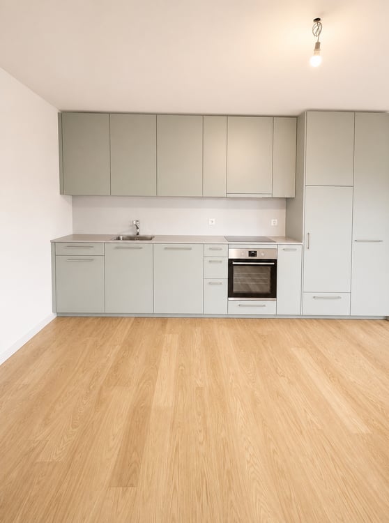 Modernes Wohnen in Allschwil